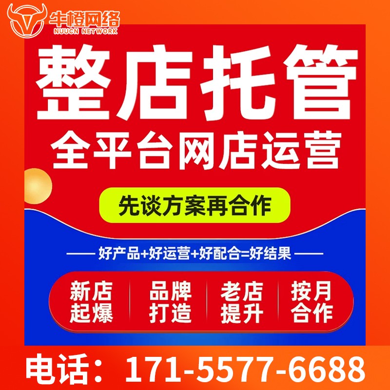 衡水爱采购代运营