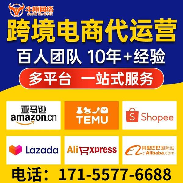 衡水电商代运营