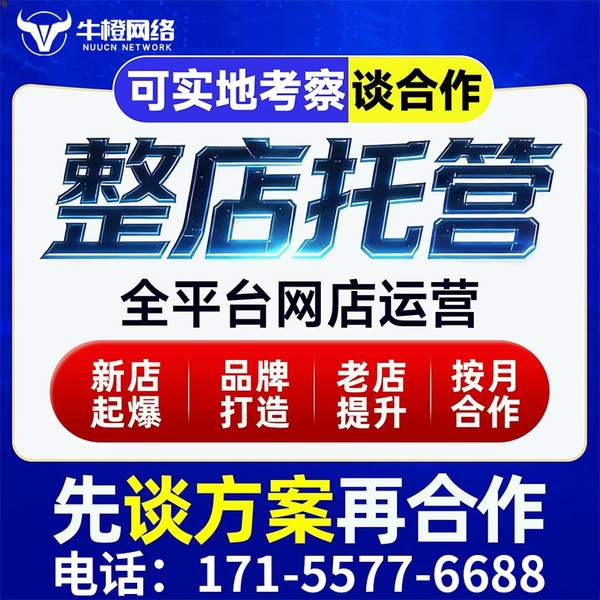 衡水电商代运营