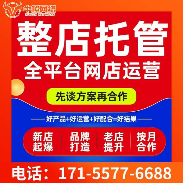 衡水电商代运营