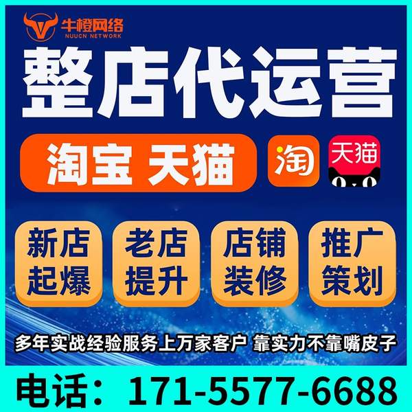 衡水电商代运营