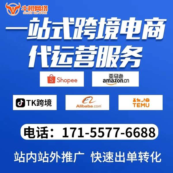 衡水电商代运营