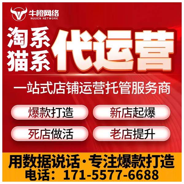 衡水电商代运营